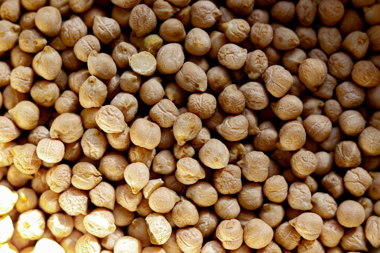 gallery-5 High-resolution close-up of dry chickpeas, perfect for culinary recipes and healthy eating visuals.